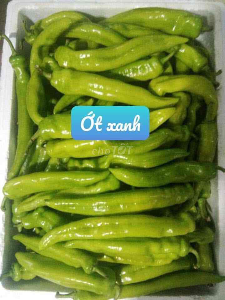 Ớt xanh. Mua bán Đồ ăn, thực phẩm và các loại khác tại Thành phố Thủ Dầu Một Bình Dương được đăng bởi Trần Chính Vũ hình 1