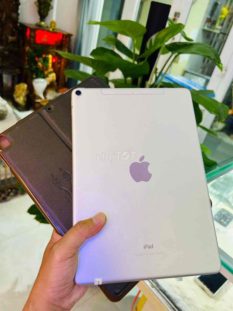 ipad pro 10.5 inch 64G có 5G máy zin đẹp pin90%