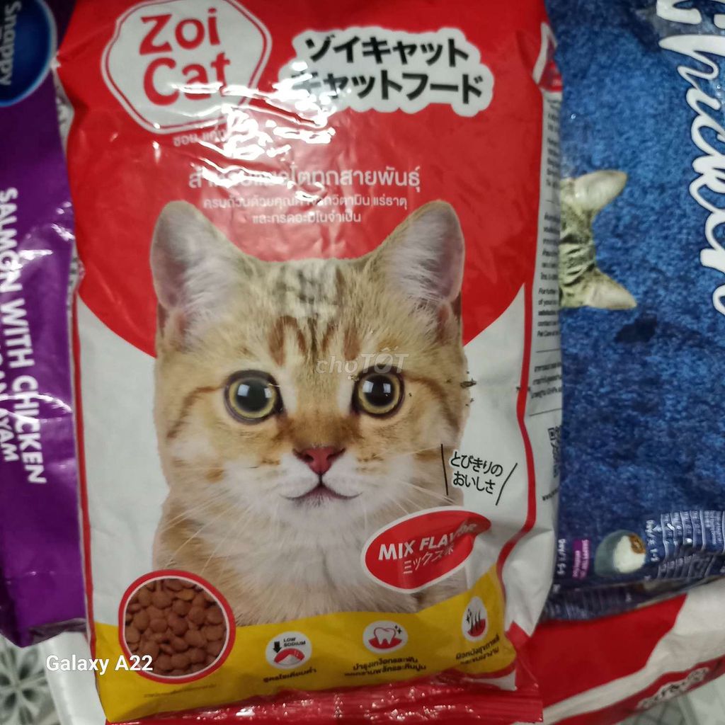 Hạt zoi cat cho mèo 1kg