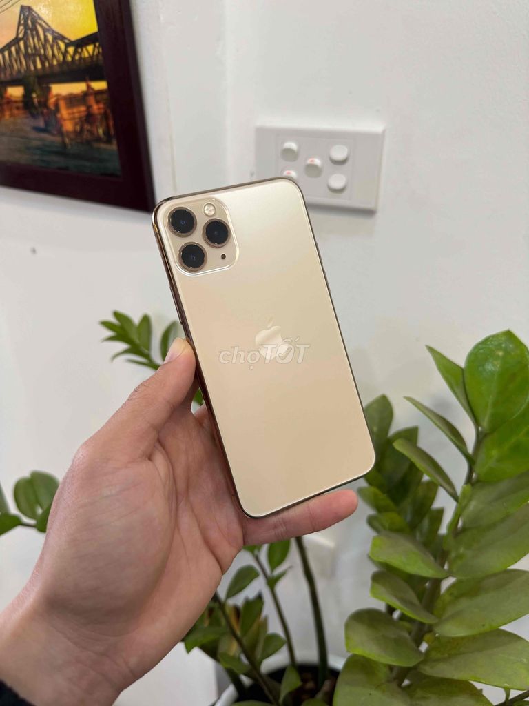 Iphone 11 Pro Gold 256gb Q.tế