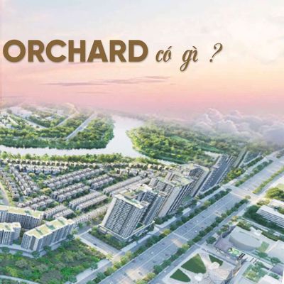 SANG LỖ 1 TỶ CĂN BIỆT THỰ SONG LẬP THE ORCHARD SYCAMORE TP MỚI. Mua bán nhà ở tại Thành phố Thủ Dầu Một Bình Dương được đăng bởi Cá nhân