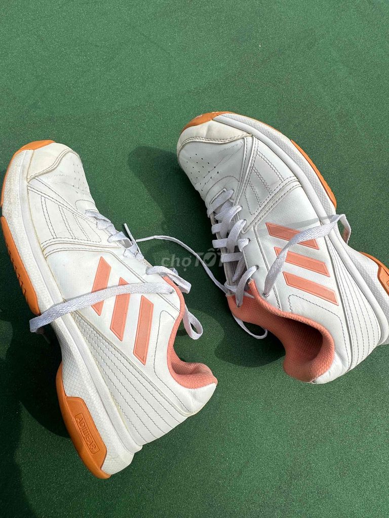 giày tennis,pickleball, cầu lông hiệu adidas