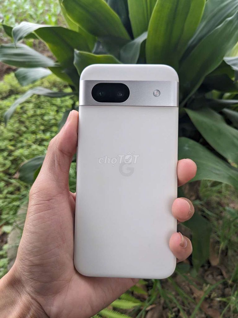 Google Pixel 8a Trắng Đã sử dụng. Mua bán Điện thoại tại Huyện Thuận Thành Bắc Ninh được đăng bởi Nguyen Thanh Tú hình 1
