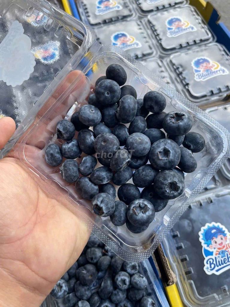 Việt quất Mộc Châu 125gr/hộp. Mua bán Đồ ăn, thực phẩm và các loại khác tại Quận Tân Bình Tp Hồ Chí Minh được đăng bởi Như Huỳnh hình 1