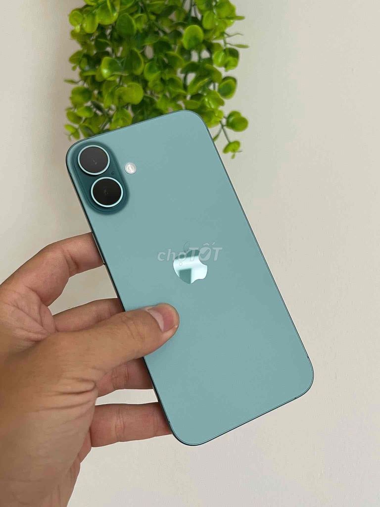 iPhone 16 Plus 128GB Xanh Lỗi Face ID bán hay gl. Mua bán Điện thoại tại Huyện Bàu Bàng Bình Dương được đăng bởi Bình Minh hình 1