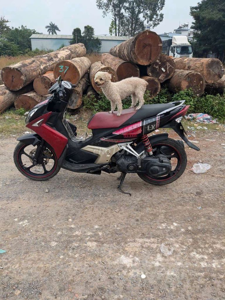 Yamaha Nouvo LX. Mua bán Xe máy tại Huyện Hóc Môn Tp Hồ Chí Minh được đăng bởi Nguyễn  màu Xanh hình 2