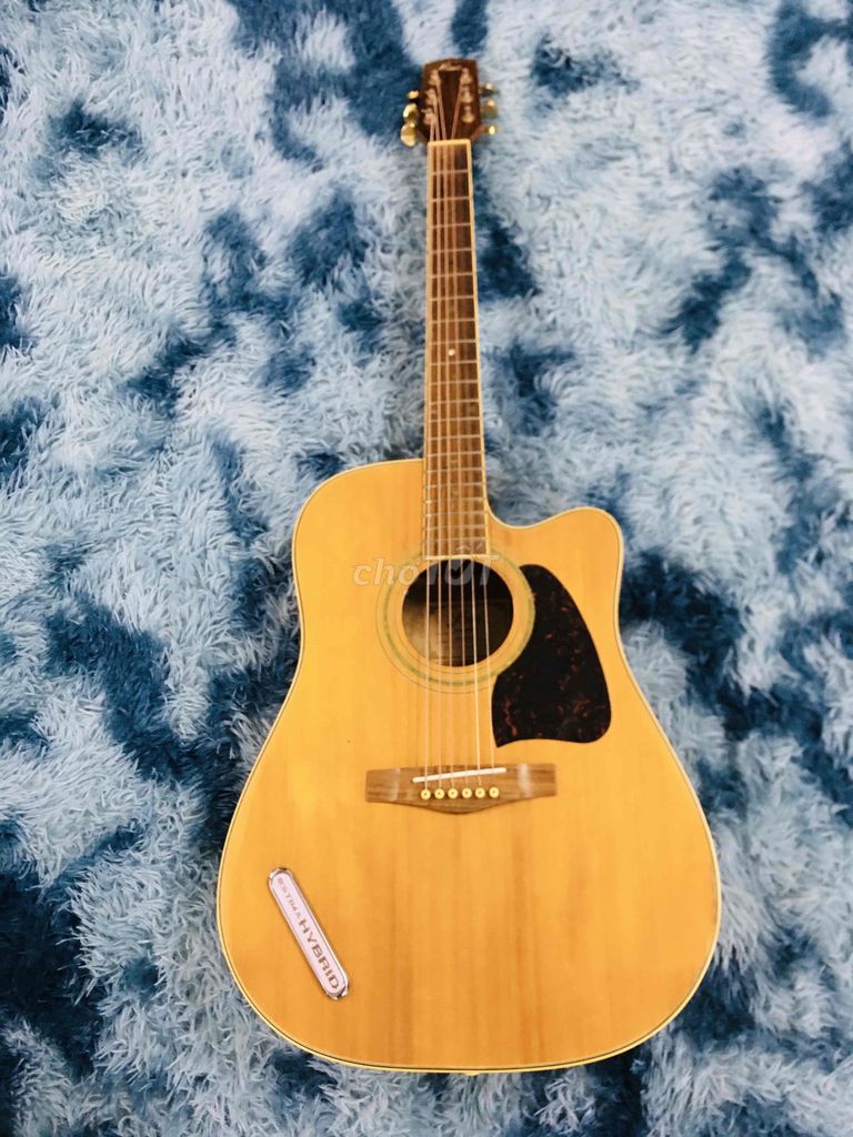 guitar Acoustic Fina-FAW-800NT