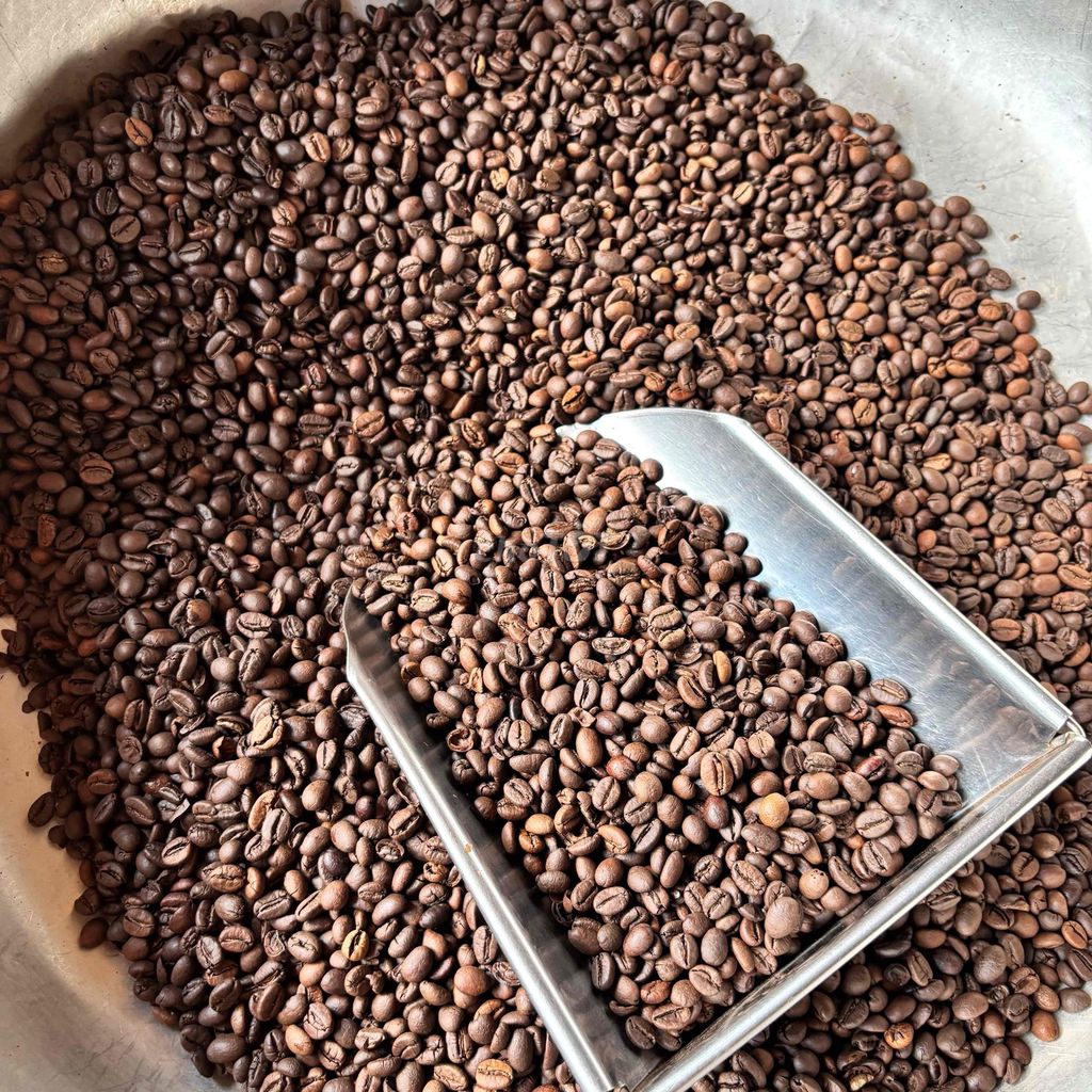 Cà phê rang mộc Robusta Arabica. Mua bán Đồ ăn, thực phẩm và các loại khác tại Thành phố Buôn Ma Thuột Đắk Lắk được đăng bởi Trang Nguyễn  hình 1