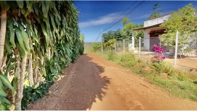 Bán đất 1 hecta-CCN Bù Nho 75Hec-Phú Riềng Đồng Nai-cách ĐT 741 - 200m