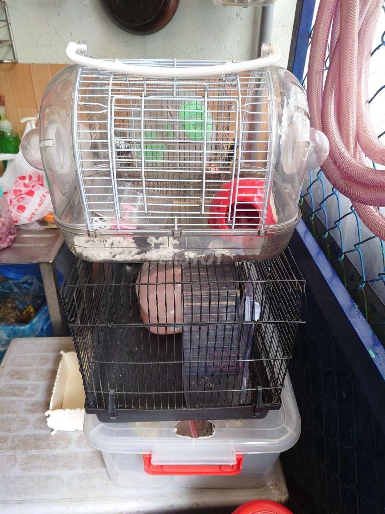 Lồng, đồ chơi......hamster ...