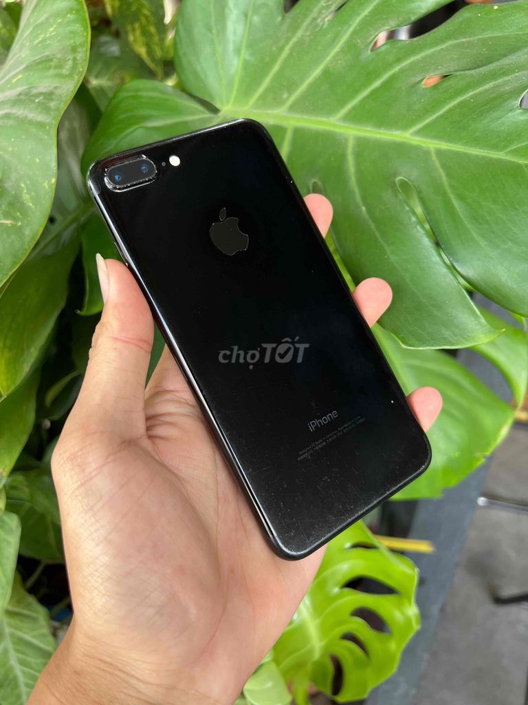 iPhone 7 Plus 128GB Qte - Pin new 100% - Full vân. Mua bán Điện thoại tại Quận Ninh Kiều Cần Thơ được đăng bởi TP Store hình 1