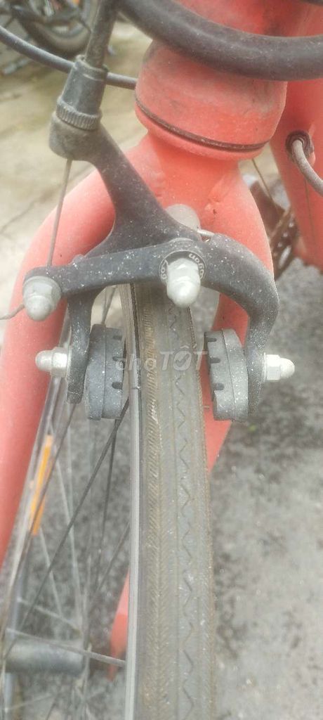 Xe đạp thể thao Phoenix Gravel Hợp kim nhôm. Mua bán Xe đạp tại Quận Tân Bình Tp Hồ Chí Minh được đăng bởi Lê Viết Hoà hình 4