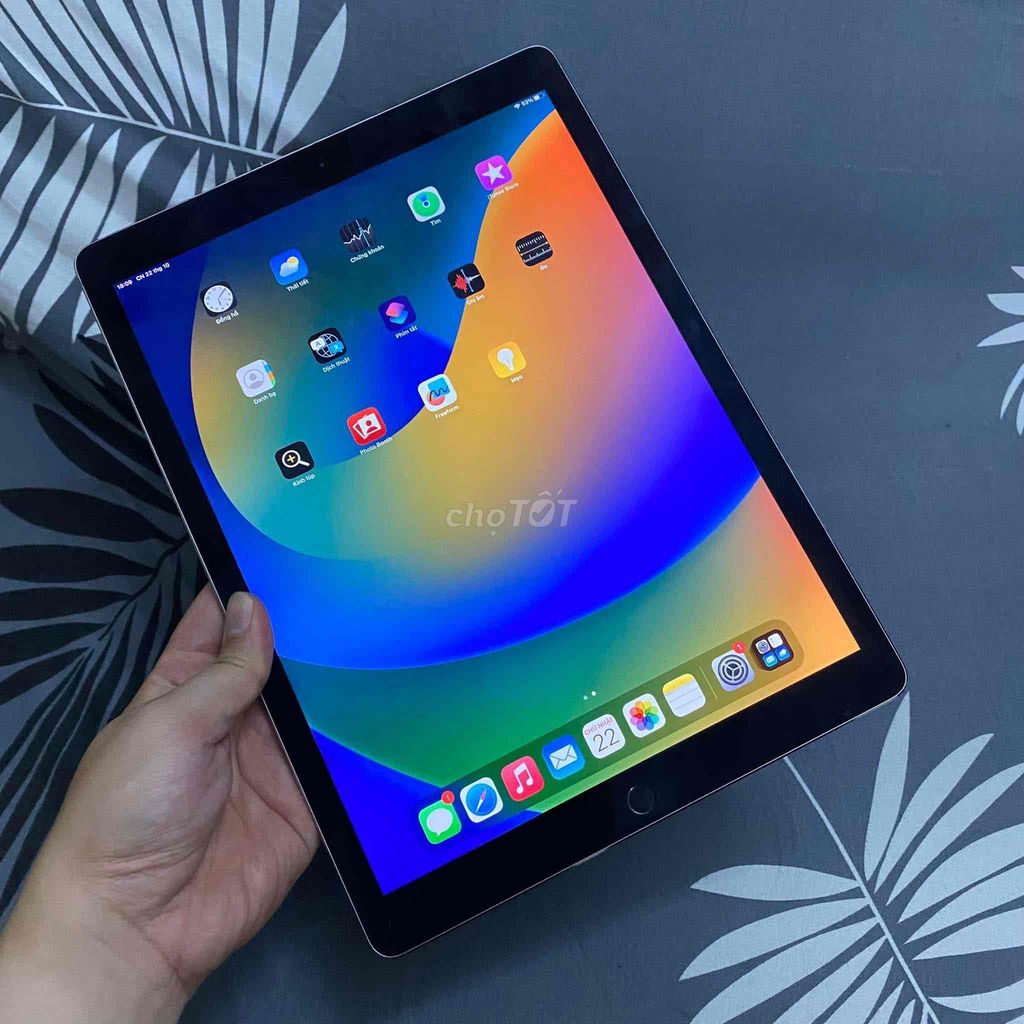 🔆 iPad Pro 12.9 Gen 2 (2017) 64 4G Zin 98%