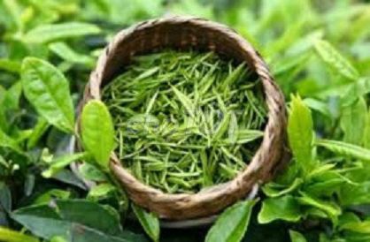Tìm đối tác SX trà ướp hương + cà phê rang xay.. Dịch vụ tại Quận Bình Tân Tp Hồ Chí Minh được đăng bởi A Long hình 1