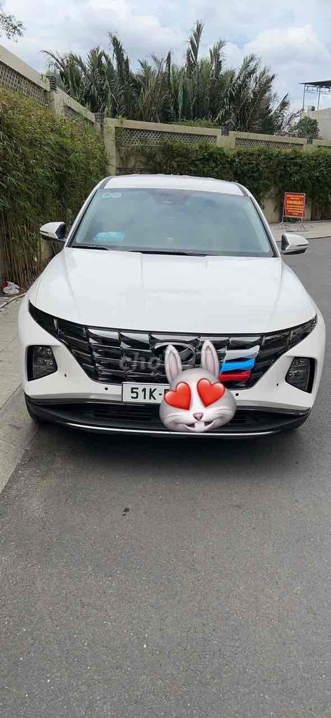 Ảnh số 7