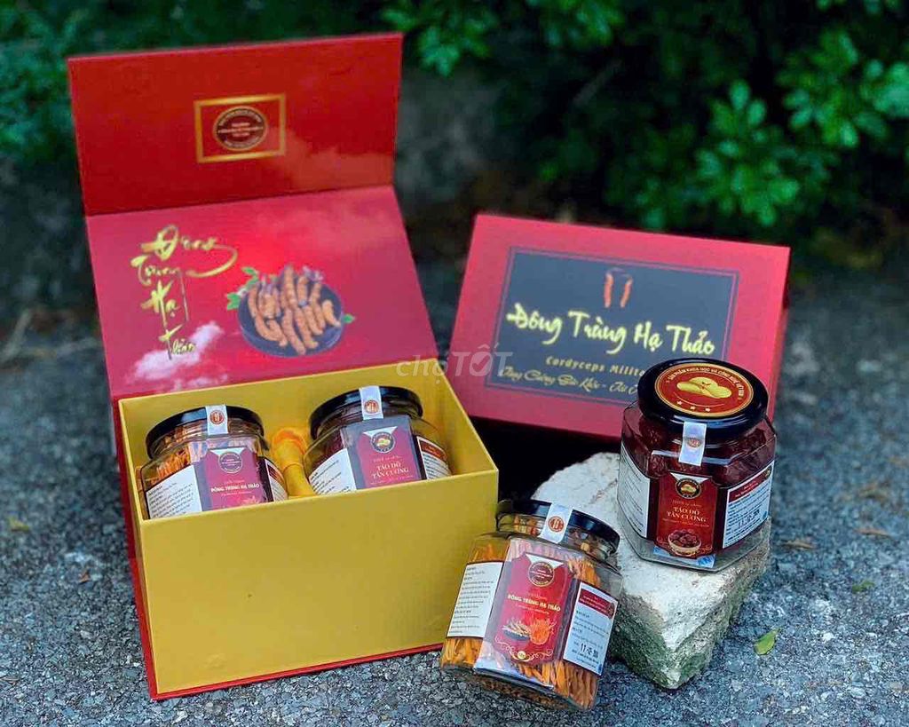 Đông trùng hạ thảo khô Việt Nam hộp. Mua bán Đồ ăn, thực phẩm và các loại khác tại Quận Hoàng Mai Hà Nội được đăng bởi Sen Vàng hình 1