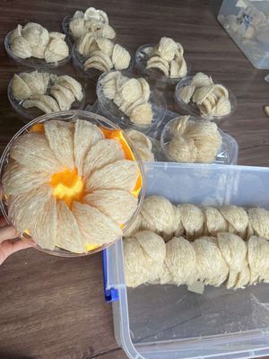 Tổ yến tinh chế 100g. Mua bán Đồ ăn, thực phẩm và các loại khác tại Quận Gò Vấp Tp Hồ Chí Minh được đăng bởi BÙI THỊ YẾN OANH 