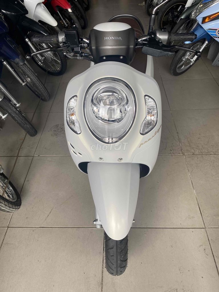 Xe Scoopy độc lạ