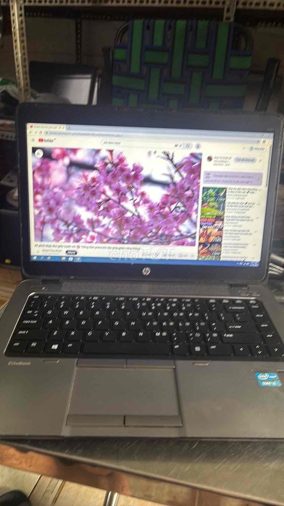 HP i5-4300U 8GB/120GB Đã sử dụng. Mua bán Laptop tại Thành phố Thủ Đức Tp Hồ Chí Minh được đăng bởi Thắng  hình 1