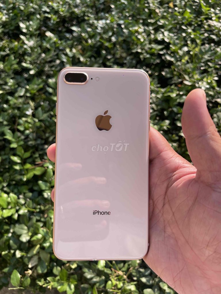 Apple iPhone 8 Plus 64GB Vàng hồng. Mua bán Điện thoại tại Thành phố Thuận An Bình Dương được đăng bởi Cơ trần hình 1