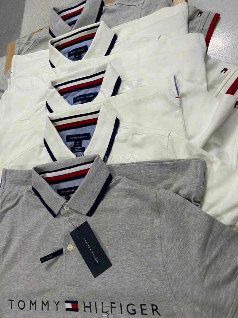 ÁO POLO THUN TOMMY HIL CHÍNH HÃNG XÁCH TAY MỸ. Mua bán Quần áo tại Quận Hải Châu Đà Nẵng được đăng bởi Dũng  hình 1