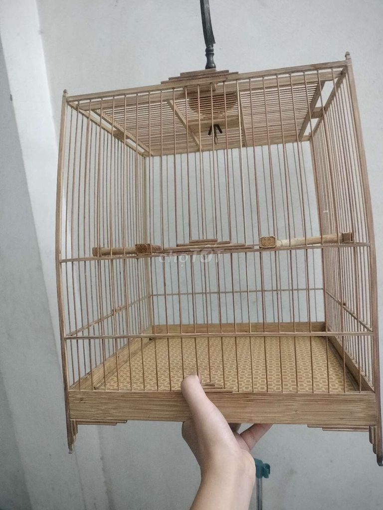 Lồng chim tre 36 nan 21. Mua bán Chim tại Quận Hoàng Mai Hà Nội được đăng bởi Vũ hình 1