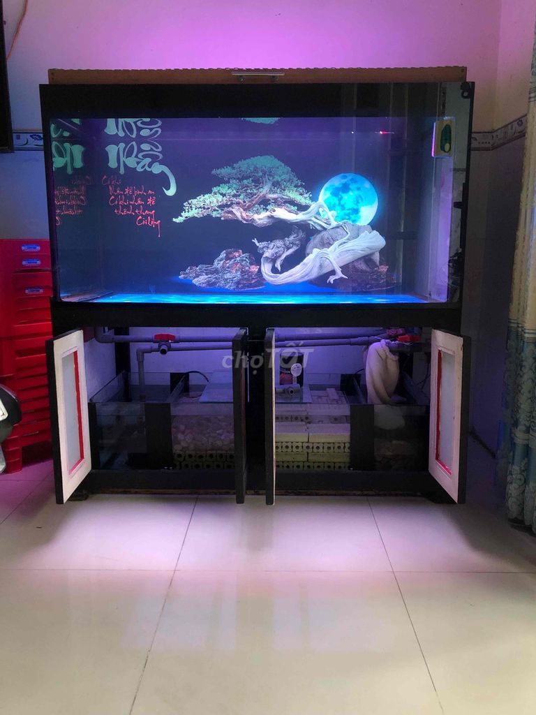 Hồ cá cảnh Đen 133x69x69 cm 10 li 2 máy bơm. Mua bán Phụ kiện, Thức ăn, Dịch vụ tại Thành phố Thuận An Bình Dương được đăng bởi Dong  hình 1