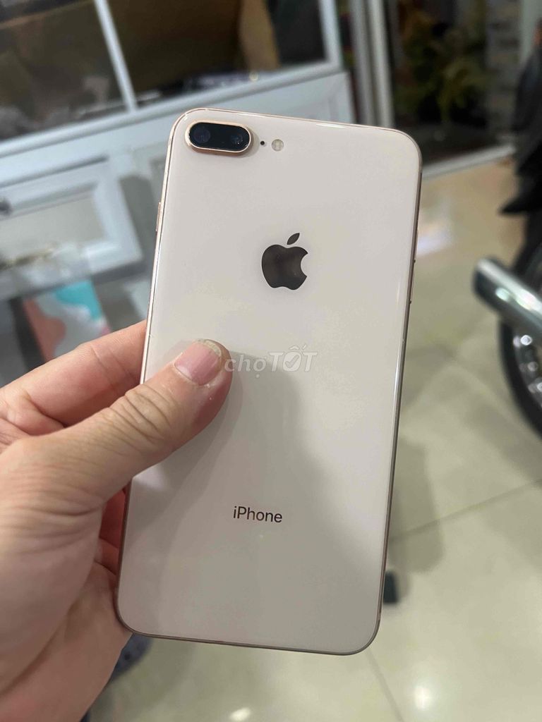 Apple iPhone 8 Plus 64GB Vàng hồng. Mua bán Điện thoại tại Huyện Hóc Môn Tp Hồ Chí Minh được đăng bởi Khổng Văn Hùng đọc kỹ nội dung trước khi ib nhé hình 1