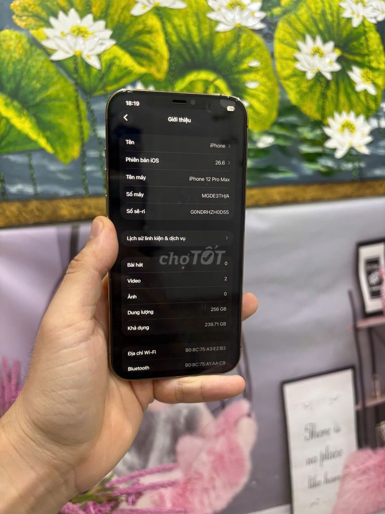 iPhone 12 Pro Max 256GB Vàng Oled. Mua bán Điện thoại tại Quận Bắc Từ Liêm Hà Nội được đăng bởi Cửa hàng Bính Táo hình 1