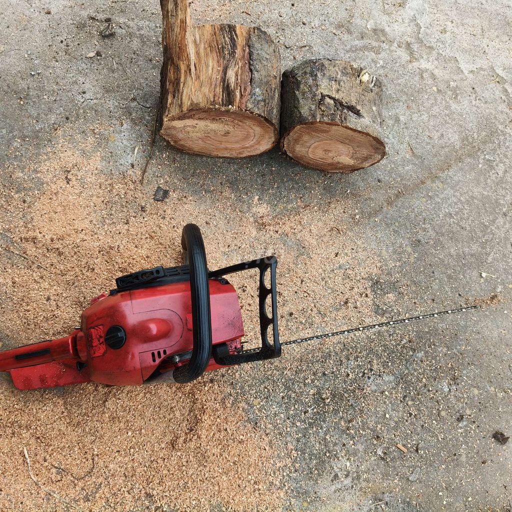 Máy cưa xích 395 sinewa Đỏ. Mua bán Đồ chuyên dụng, Giống nuôi trồng tại Huyện Châu Thành Sóc Trăng được đăng bởi NHAKINHDOANH hình 1