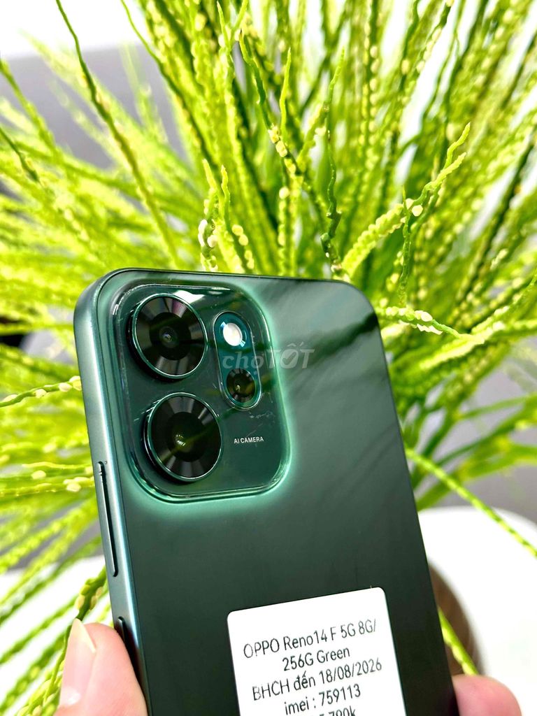 OPPO Reno14 F 5G 256G Xanh lá. Mua bán Điện thoại tại Quận Liên Chiểu Đà Nẵng được đăng bởi Hữu hình 1