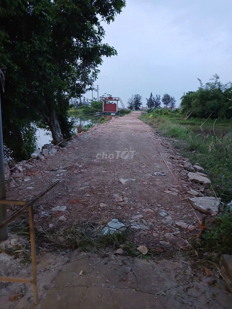 BÁN 125M2 ĐẤT HẠ LINH - XUÂN NGỌC - XUÂN TRƯỜNG