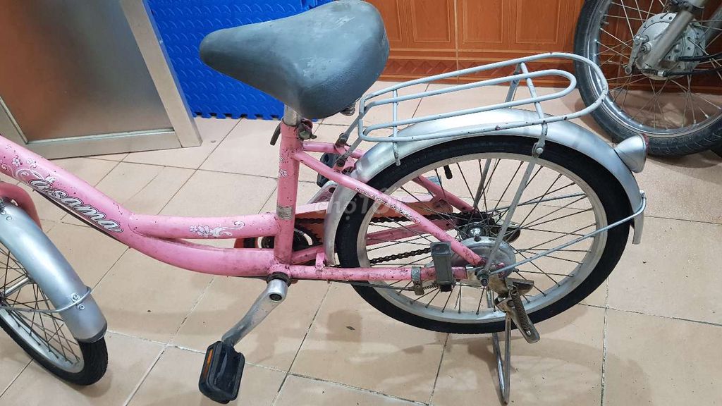 Xe đạp trẻ em asama vành 20 inch màu hồng