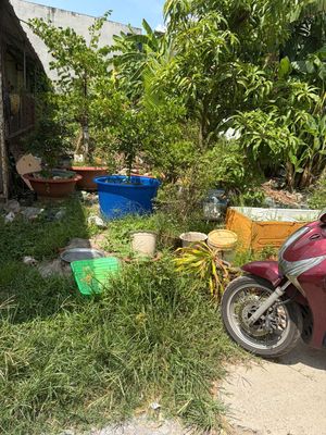 Chủ cần tiền bán rẻ nền thổ 112m2 đường ô tô, cách Bình Chánh 500m