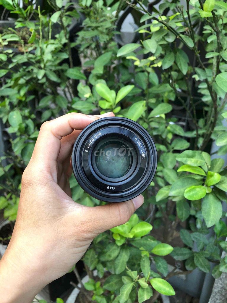 Ống kính Sony SEL 50mm f/1.8 OSS Đen. Mua bán Máy ảnh, Máy quay tại Quận Phú Nhuận Tp Hồ Chí Minh được đăng bởi Lam Vy  hình 1