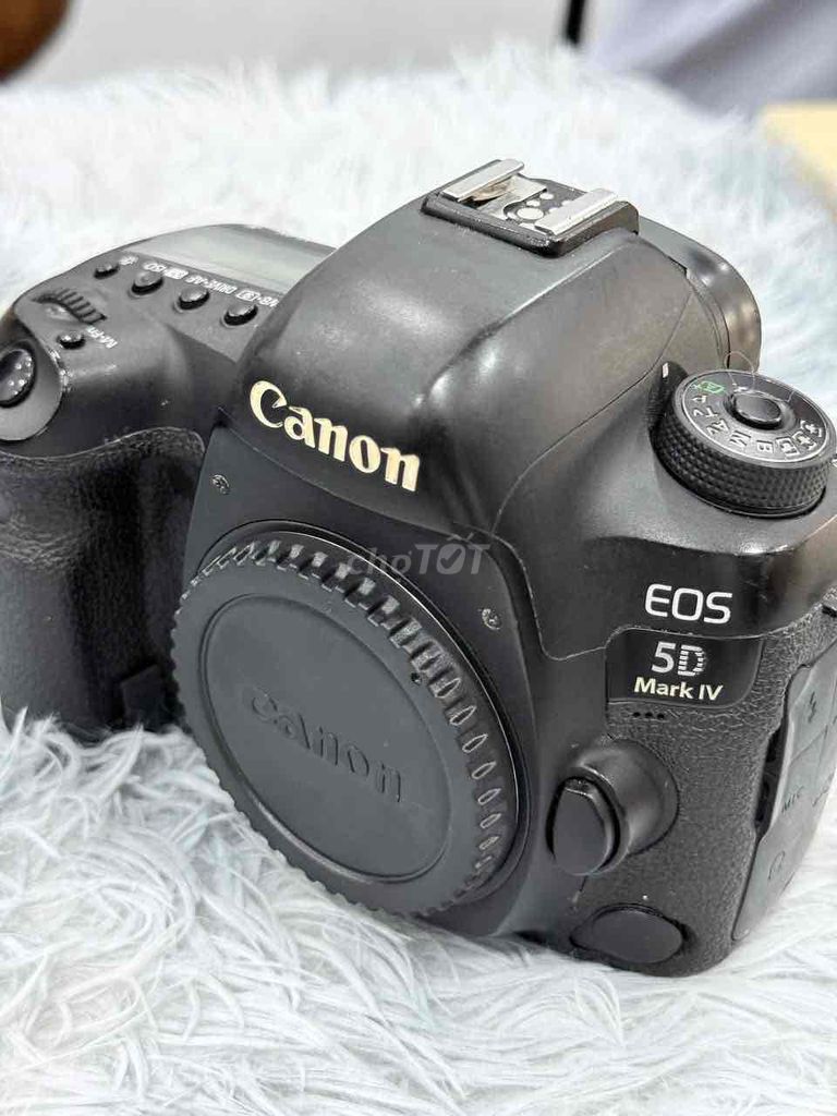 Máy ảnh Canon 5D Mark IV body 98%. Mua bán Máy ảnh, Máy quay tại Quận 5 Tp Hồ Chí Minh được đăng bởi Phan Thế Phong  hình 1