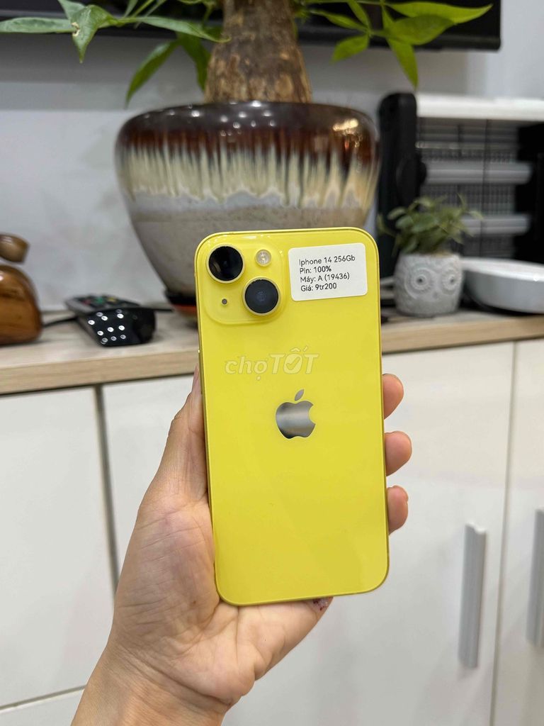 iPhone 14 256GB Quốc tế Vàng P100 Zin Đẹp 99. Mua bán Điện thoại tại Huyện Hóc Môn Tp Hồ Chí Minh được đăng bởi Nguyễn Thu hình 1