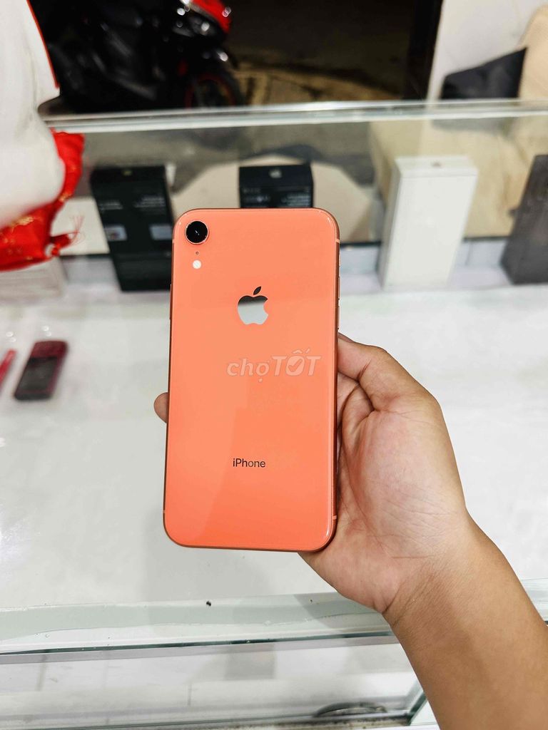 Apple iPhone XR 64GB Cam Quốc tế 98%. Mua bán Điện thoại tại Thị xã Phú Mỹ Bà Rịa - Vũng Tàu được đăng bởi Bi Táo hình 1