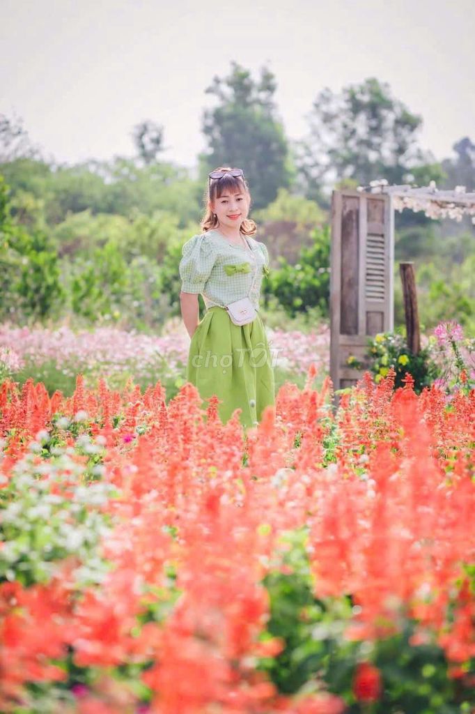 Cho thuê honestay 99k/1 căn. Dịch vụ tại Huyện Đức Linh Bình Thuận được đăng bởi hapham hình 2