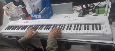 Piano Gập Bora BX-40