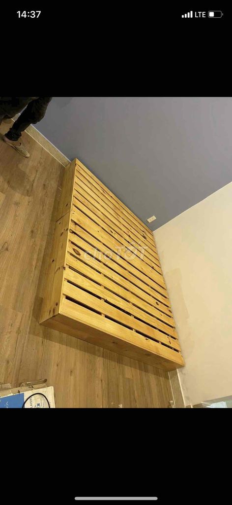 Giường Pallet Nệm cao su non giá xưởng