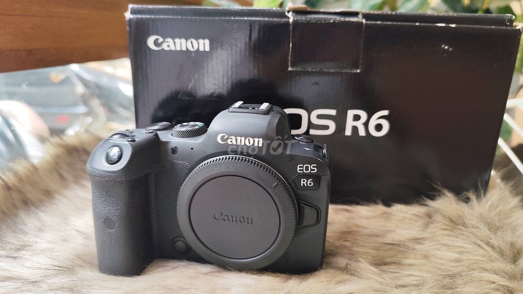 Canon EOS R6, Máy fullframe siêu đẹp. Mua bán Máy ảnh, Máy quay tại Thành phố Đà Lạt Lâm Đồng được đăng bởi Nguyễn Thanh Bình hình 1