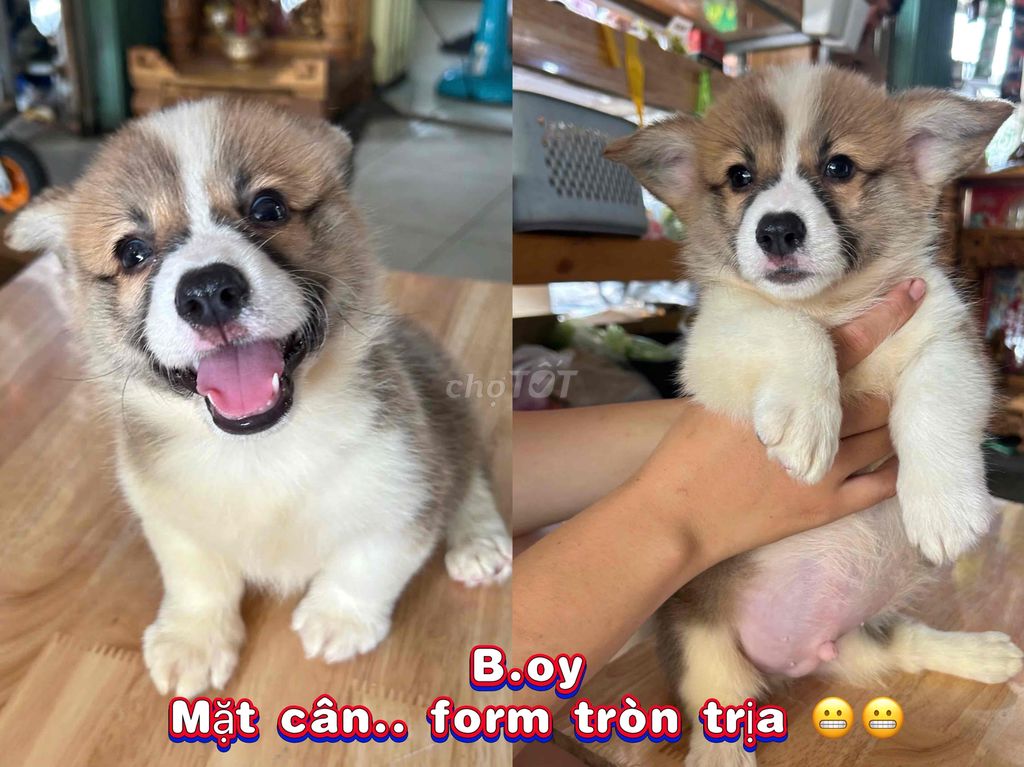 2 bé Nhà Trồng lứa đầu.. xem trực tiếp cute x100