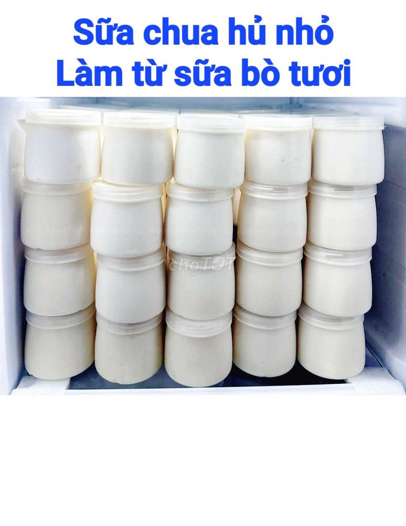 Sữa chua Sữa bò tươi. Mua bán Đồ ăn, thực phẩm và các loại khác tại Huyện Hóc Môn Tp Hồ Chí Minh được đăng bởi Nguyễn thế huy hình 1