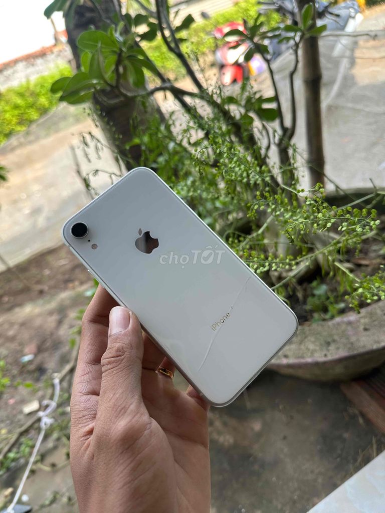Apple iPhone XR 256GB Trắng zin full cn. Mua bán Điện thoại tại Thành phố Bến Tre Bến Tre được đăng bởi TN MOBILE hình 1