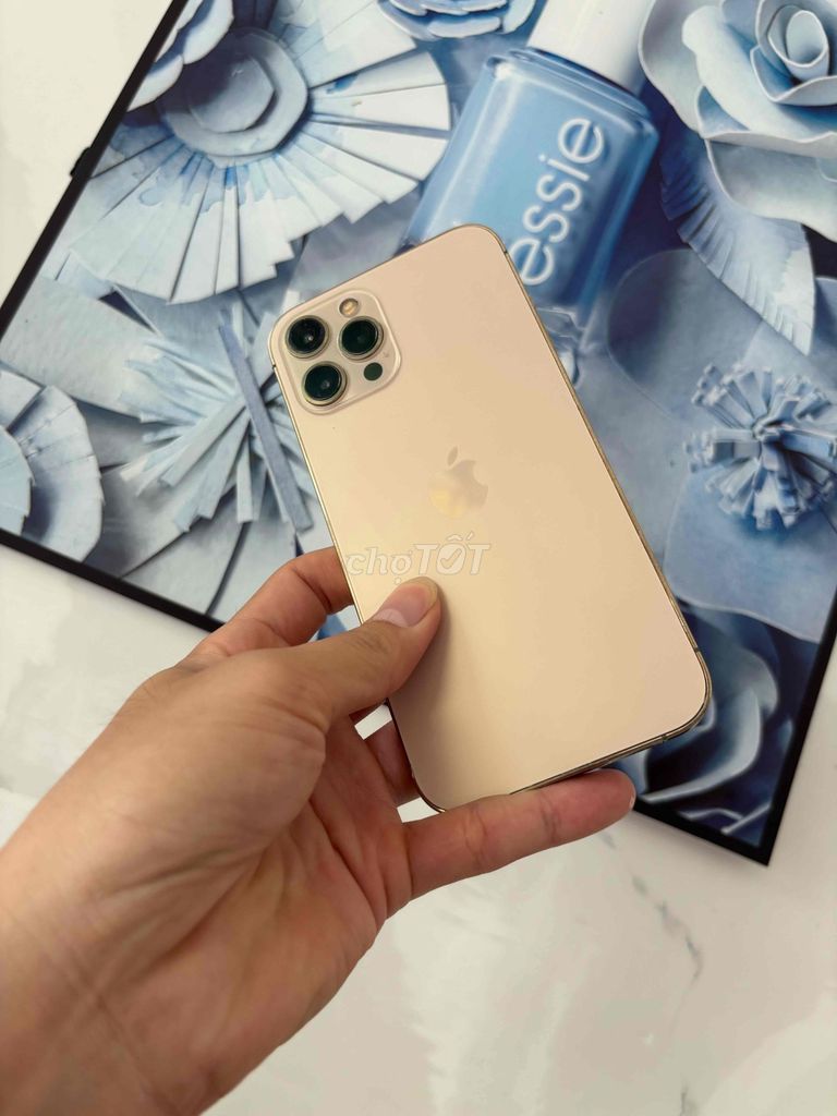 iPhone 12 Pro Max 256GB zin all qte màn lưu k face. Mua bán Điện thoại tại Quận Ninh Kiều Cần Thơ được đăng bởi everest hình 1