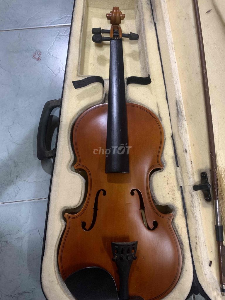 bán xác đàn violin