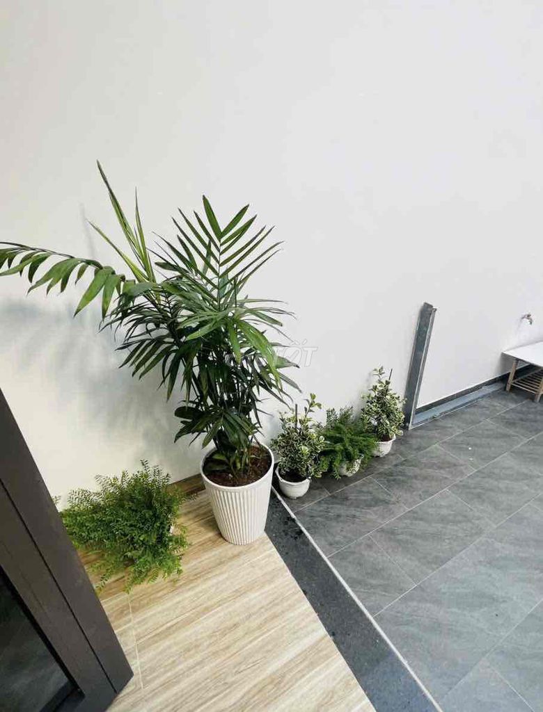 🏡 cho thuê nhà 3 tầng mới 100% – trần cao vân, trung tâm thanh khê
