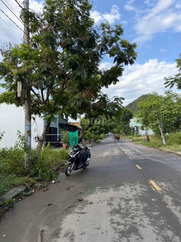 [CHÍNH CHỦ] BÁN ĐẤT ĐẠI LA 2 – XÃ HÒA SƠN, H. HÒA VANG, ĐÀ NẴNG