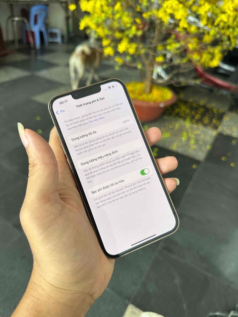 iPhone 13PRO /256GB Việt nam